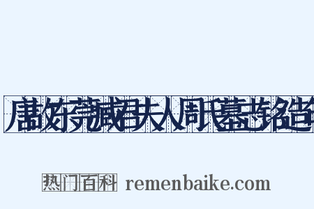 唐故东莞臧君夫人周氏墓志铭造句是什么意思的图片